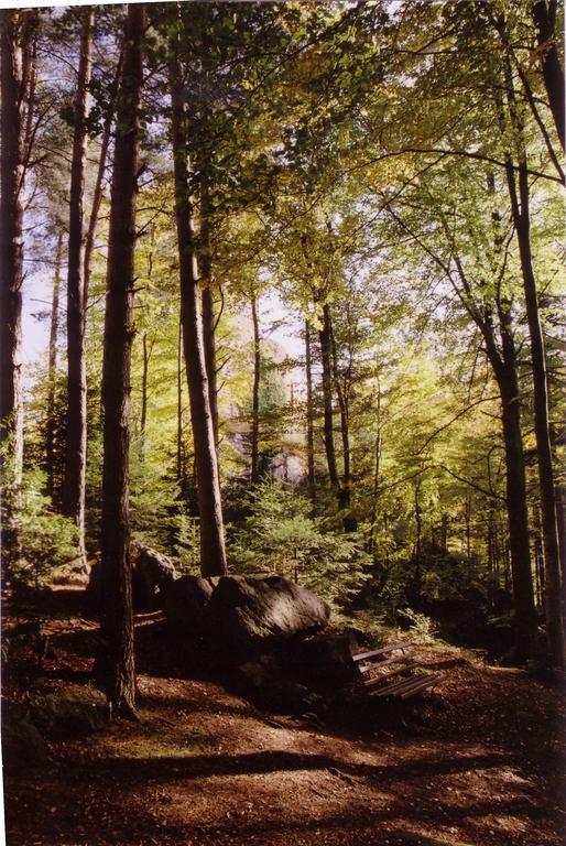 Parc